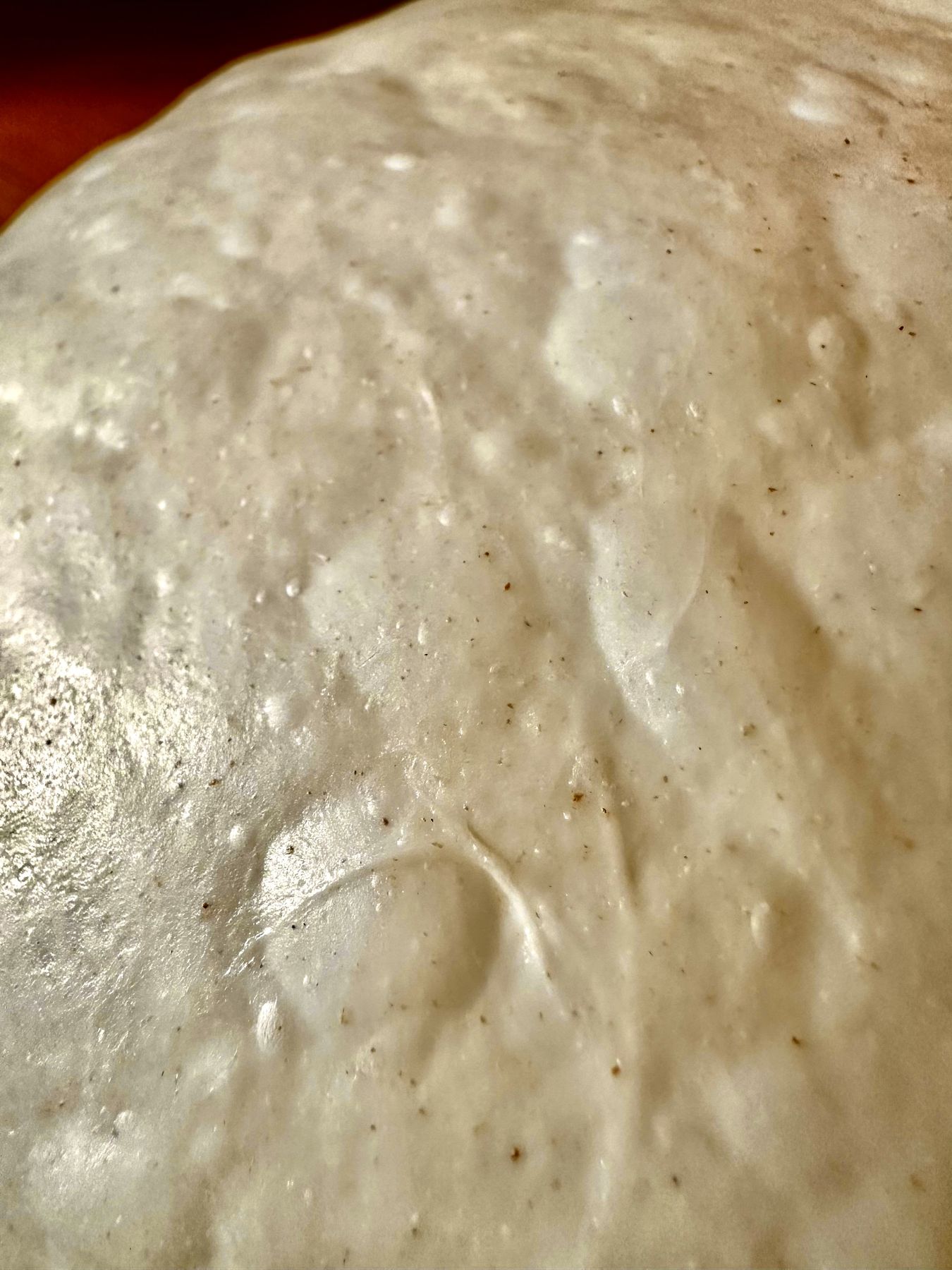 The crust tells you everything about how the dough was treated.