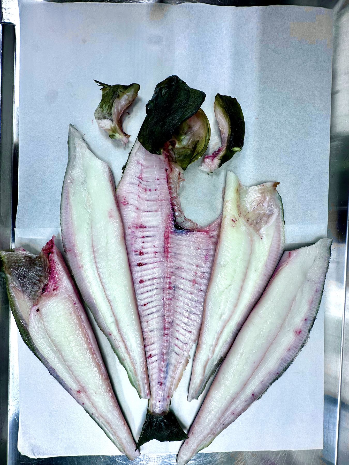 Broken down and ready — how a fish gets cut depends entirely on how good it is.