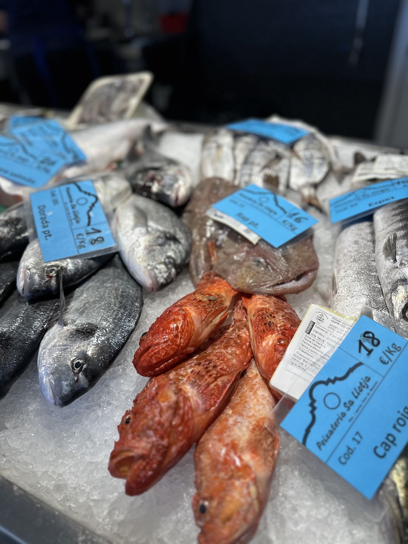 Cap roig and dorada on ice — bright skin, clear eyes, the signs you want.