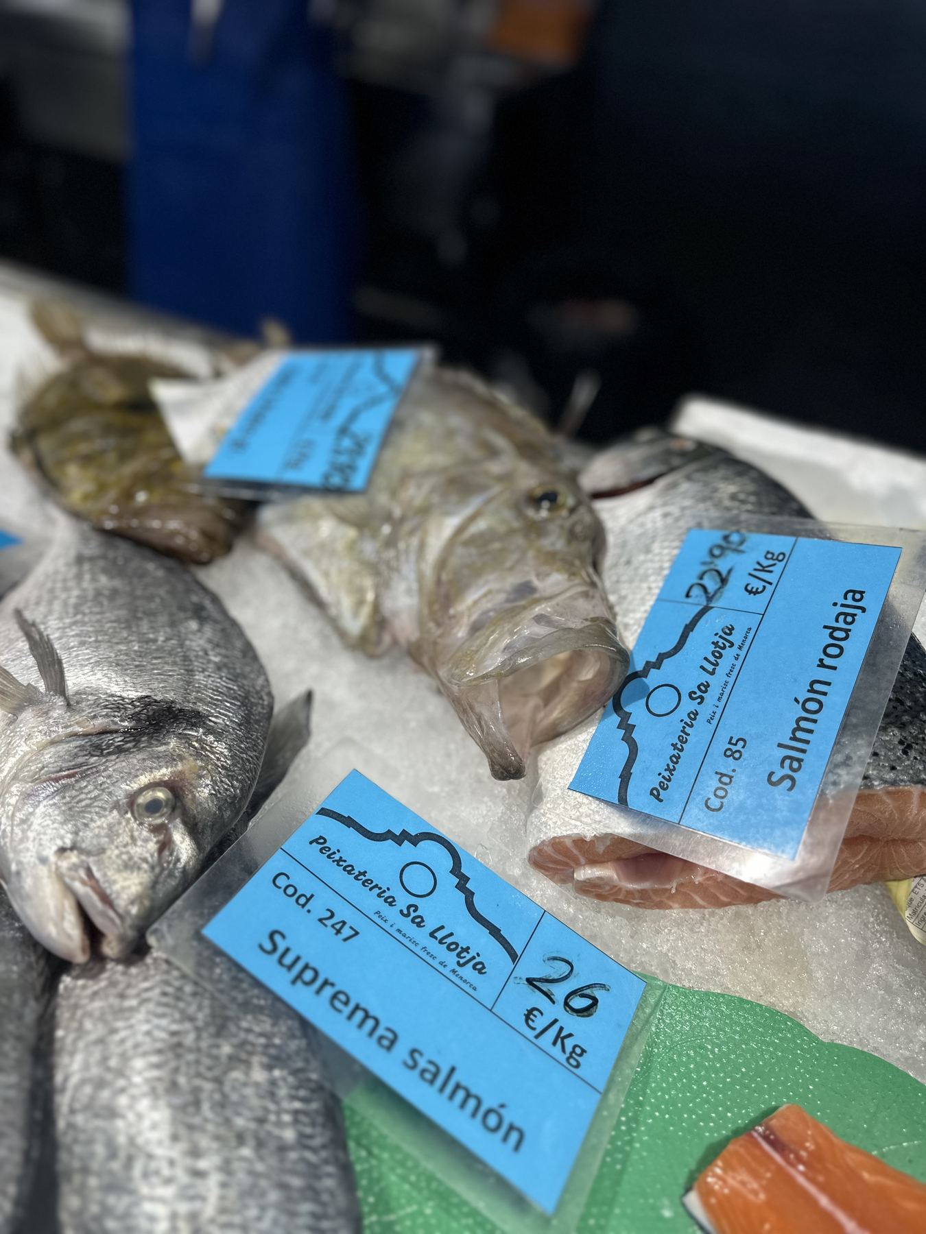 Sa Llotja, Maó — the morning’s catch, labelled and on ice.